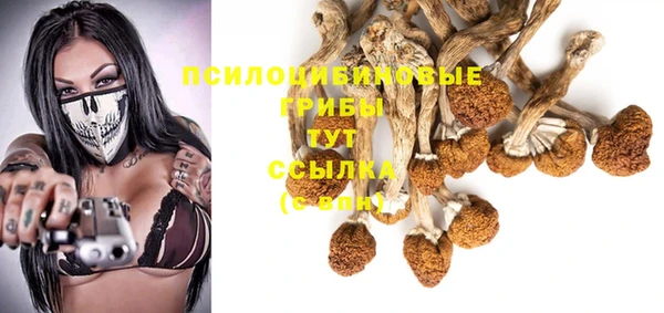 дживик Аркадак