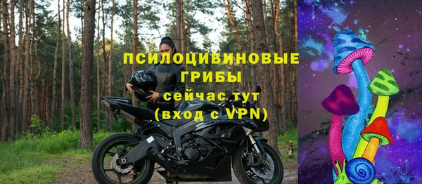 дживик Аркадак